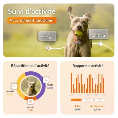Weenect animal de compagnie GPS Tracker XS pour chien