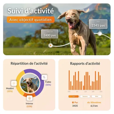 Weenect Tracker GPS XT pour animaux de compagnie pour chien