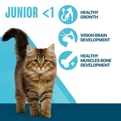 Perfect Fit Junior <1 Rich in Chicken - 7kg