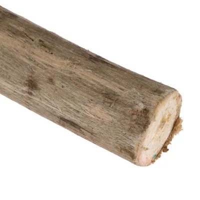 Bâton en bois naturel, surface rugueuse et fibres visibles, coupe transversale montrant l’intérieur du bois. Aucun texte ou marque visible.