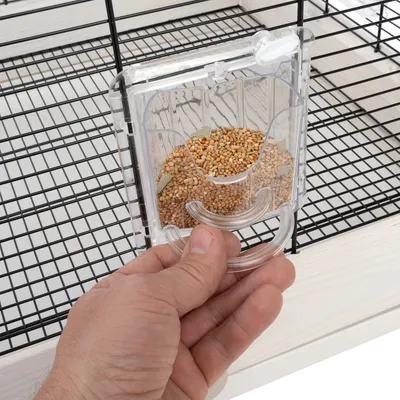 Mangeoire transparente en plastique remplie de graines, tenue par une main devant une cage à barreaux noirs.