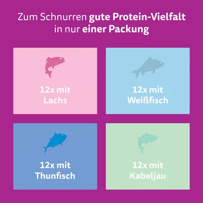 Megapack Whiskas 1+ Adult Frischebeutel 48 x 85 g