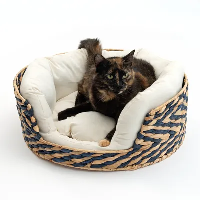 Rundes Katzenbett aus geflochtenem Material in Blau und Beige mit weissem Kissen. Katze liegt entspannt im Bett.