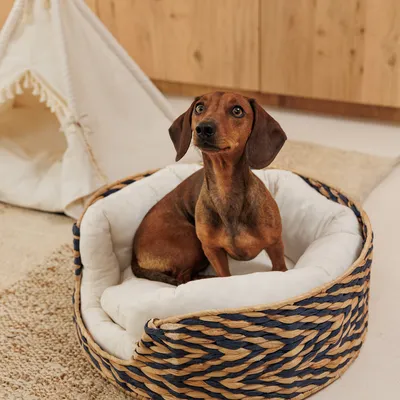 Geflochtenes Haustierbett aus Naturmaterialien mit weißem Kissen, im Hintergrund ein Zelt aus Stoff.