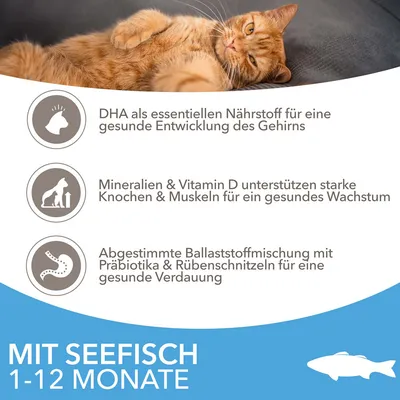DHA für gesunde Gehirnentwicklung, Mineralien & Vitamin D für Knochenwachstum, Ballaststoffe mit Präbiotika für Verdauung. Mit Seefisch, geeignet für Katzen von 1-12 Monaten.