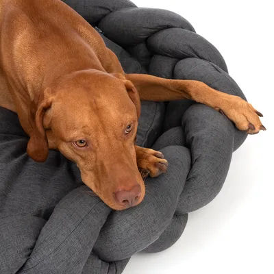Hund ligger på en flätad, grå husdjursbädd av tyg.