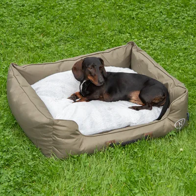 Hund liegt in einem olivgrünen Hundebett mit weisser, weicher Innenpolsterung auf einer Wiese. Logo 'N' sichtbar an der Seite des Bettes.