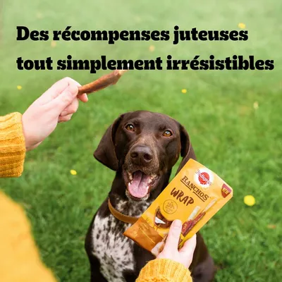 Texte : Des récompenses juteuses tout simplement irrésistibles. Emballage Pedigree Ranchos Wrap tenu devant un chien, friandise à la main.