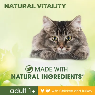 NATURAL VITALITY, MADE WITH NATURAL INGREDIENTS, adult 1+, with Chicken and Turkey. Tekst på engelsk. Billede af kat.