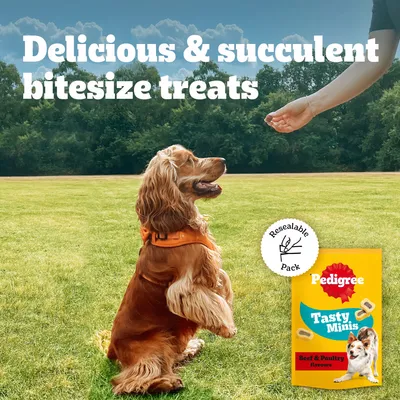 Pyszne i soczyste przysmaki w małych kawałkach. Pedigree Tasty Minis o smaku wołowiny i drobiu, w opakowaniu z możliwością ponownego zamknięcia.