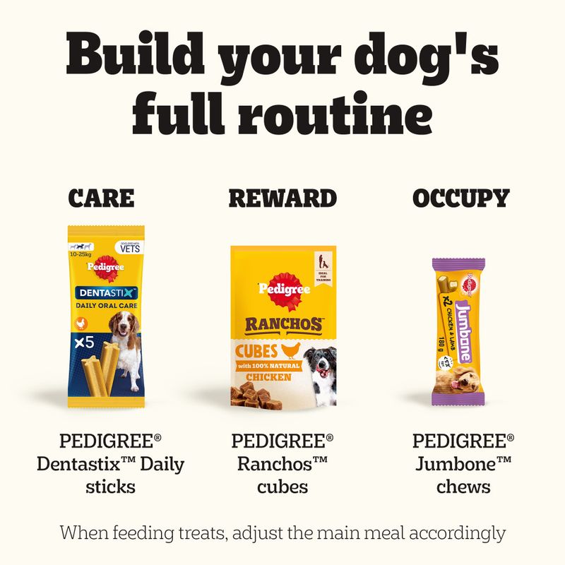 PEDIGREE® MARKIES™ Adult Mini Dog Treat Biscuits