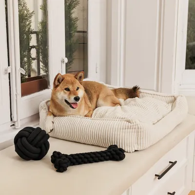 Hund liegt auf einem cremefarbenen Hundebett aus geripptem Stoff. Schwarzes Kauspielzeug in Knochen- und Ballform daneben.