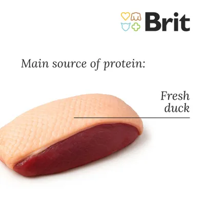 Brit Fresh duck with millet Active Run & Work