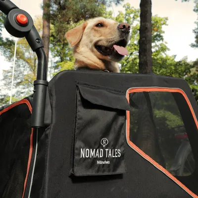 Nomad Tales München hundtransportvagn med svart tyg och orange detaljer, hund tittar ut genom det övre fönstret.