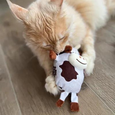 Plush toy in cow shape with brown and white spots, held by a cat.