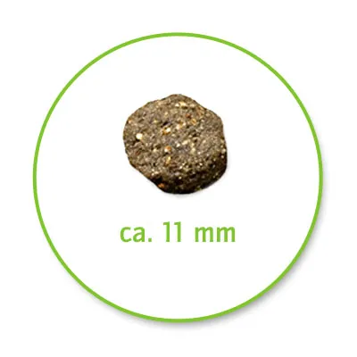Yksi ruskea nappula, halkaisija noin 11 mm, vihreällä ympyrällä ja tekstillä 'ca. 11 mm'.
