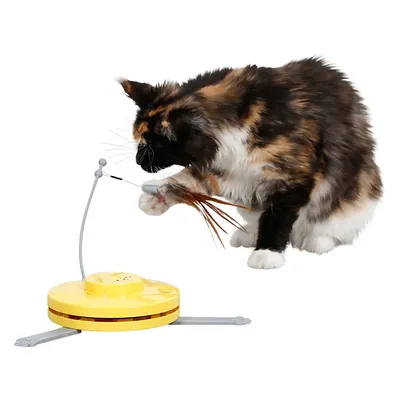 Toy for cats with yellow base, grey rod and feather attachment. Cat interacts with the toy.