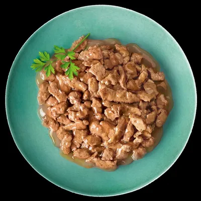 Chunks of meat in gravy served on a green plate with a garnish of parsley, showing the texture and appearance of the wet food product.
