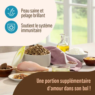 Peau saine et pelage brillant. Soutient le système immunitaire. Une portion supplémentaire d’amour dans son bol ! Ingrédients visibles : croquettes, filet de poulet cru, huile, riz, légumes.