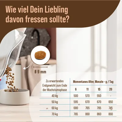 Tableau d’alimentation pour chiens : poids adulte 40–70 kg, quantités recommandées de 500 à 860 g/jour selon l’âge (6, 11, 15, 20 mois). Croquette Ø 9 mm. Texte en allemand.
