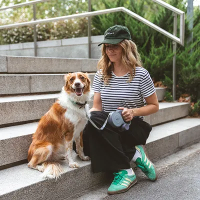 Hund sitzt neben einer Person, die eine graue Hundeleine hält. Szene auf einer Treppe im Freien.