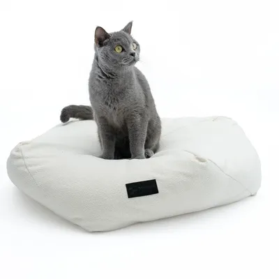 Gato gris sentado sobre un cojín blanco acolchado con etiqueta negra 'Modern'.