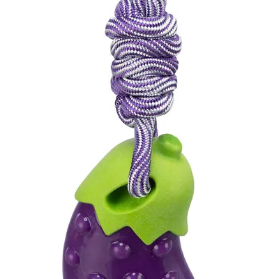 Lila és zöld, padlizsán alakú játék fonott kötéllel, húzáshoz vagy rágáshoz alkalmas.