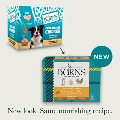 Burns Free Range Chicken with Carrots & Brown Rice - dog wet food - 6 x 395g Burns Free Range Chicken with Carrots & Brown Rice - dog wet food - 6 x 395g
