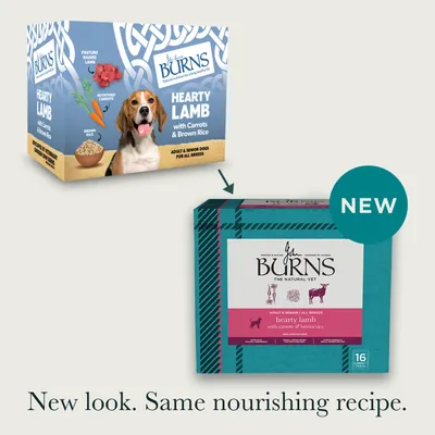 Burns Wet Food for Dogs 16 x 395g - Hearty Lamb with Carrots & Brown Rice Burns Wet Food for Dogs 16 x 395g - Hearty Lamb with Carrots & Brown Rice