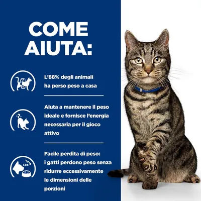 COME AIUTA: L’88% degli animali ha perso peso a casa. Aiuta a mantenere il peso ideale e fornisce l’energia per il gioco attivo. Facile perdita di peso senza ridurre troppo le porzioni. COME AIUTA: L’88% degli animali ha perso peso a casa. Aiuta a mantenere il peso ideale e fornisce l’energia per il gioco attivo. Facile perdita di peso senza ridurre troppo le porzioni.