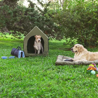 Dwa psy na zewnątrz: jeden w zielonym namiocie, drugi na wyściełanej macie. Obok nich torba dla psa, miski i zabawki.