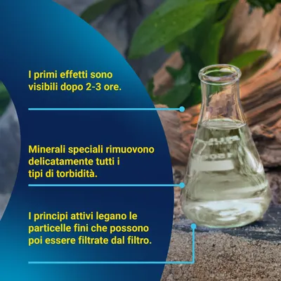 Bottiglia di vetro con liquido accanto al testo: primi effetti dopo 2-3 ore, minerali speciali eliminano le torbidità, principi attivi legano le particelle fini per la filtrazione. Bottiglia di vetro con liquido accanto al testo: primi effetti dopo 2-3 ore, minerali speciali eliminano le torbidità, principi attivi legano le particelle fini per la filtrazione.