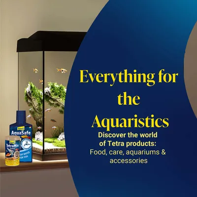 Tetra AquaSafe a TetraMin Flakes vedle akvária. Text: Vše pro akvaristiku. Objevte produkty Tetra: krmivo, péče, akvária a příslušenství. Tetra AquaSafe a TetraMin Flakes vedle akvária. Text: Vše pro akvaristiku. Objevte produkty Tetra: krmivo, péče, akvária a příslušenství.