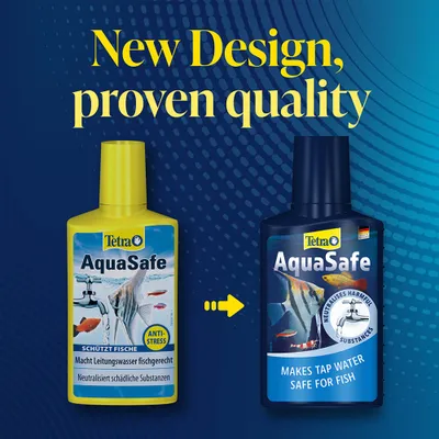 Tetra AquaSafe láhev ve starém a novém designu. Text: Nový design, osvědčená kvalita. Přeměňuje vodovodní vodu na vhodnou pro ryby, neutralizuje škodlivé látky, proti stresu. Tetra AquaSafe láhev ve starém a novém designu. Text: Nový design, osvědčená kvalita. Přeměňuje vodovodní vodu na vhodnou pro ryby, neutralizuje škodlivé látky, proti stresu.