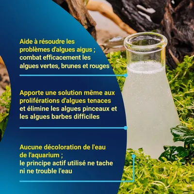 Aide à résoudre les problèmes aigus d’algues, combat les algues vertes, brunes et rouges. Solution pour les algues tenaces, sans coloration ni trouble de l’eau de l’aquarium grâce à l’actif. Aide à résoudre les problèmes aigus d’algues, combat les algues vertes, brunes et rouges. Solution pour les algues tenaces, sans coloration ni trouble de l’eau de l’aquarium grâce à l’actif.