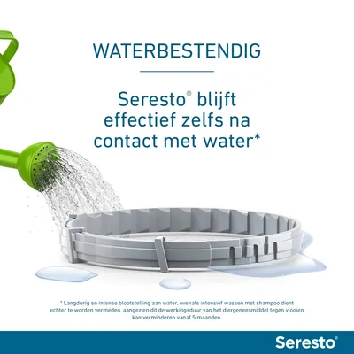 Seresto vlooien- en tekenband voor Grote honden (> 8 kg)