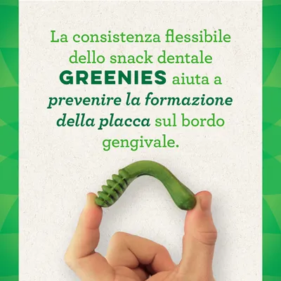 La consistenza flessibile dello snack dentale GREENIES aiuta a prevenire la formazione della placca sul bordo gengivale. Mano che tiene uno snack verde.