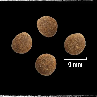 Cuatro croquetas redondas de pienso para mascotas sobre fondo negro, con escala visible que indica un diámetro de 9 mm.