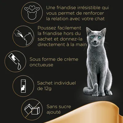 Une friandise irrésistible pour chat, à donner à la main, sous forme de crème onctueuse, en sachet individuel de 12g, sans sucre ajouté. Texte et pictogrammes visibles.