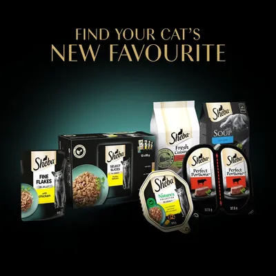 Sheba cat food range including Fine Flakes in Jelly with Chicken, Select Slices, Nature’s Collection, Fresh Cuisine, Soup with Tuna, and Perfect Portions. Text: Find your cat’s new favourite.
