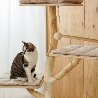 Kratzbaum aus Holz mit gepolsterten Liegeflächen und Spielball. Katze sitzt auf einer unteren Plattform.