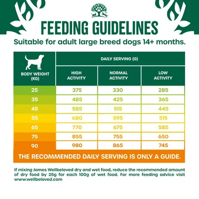 Feeding guide for adult large breed dogs 14+ months: daily serving by body weight 25–90 kg, with high, normal, and low activity columns. Brand: James Wellbeloved. www.wellbeloved.com
