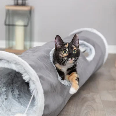 Grauer Katzentunnel mit weicher Plüsch-Innenseite und seitlichen Öffnungen, Katze schaut aus einer Öffnung heraus.