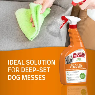 Nature's Miracle Oxy Formula Set-In Stain Remover čistiaci sprej, ruka utiera škvrnu na pohovke zelenou handričkou. Text: IDEAL SOLUTION FOR DEEP-SET DOG MESSES.
