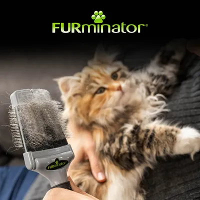 Brosse FURminator Slicker pour chien et chat Brosse FURminator Slicker pour chien et chat