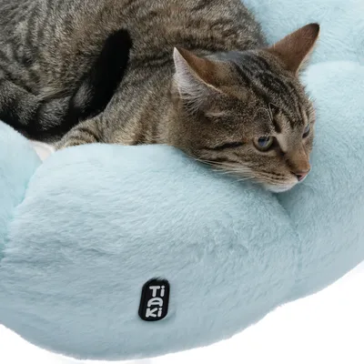 Chat tigré allongé sur un coussin en tissu peluche bleu clair avec étiquette visible Tiaki.
