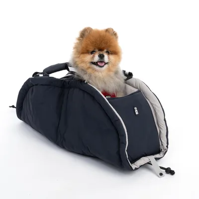 Petit chien assis dans un sac de transport noir et gris avec poignées, fermeture éclair et logo Trixie visible sur le côté.