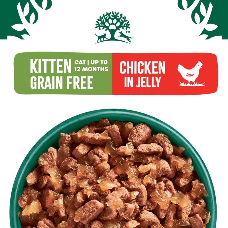James Wellbeloved Kitten Hypoallergenic Pouches - Turkey in Gravy