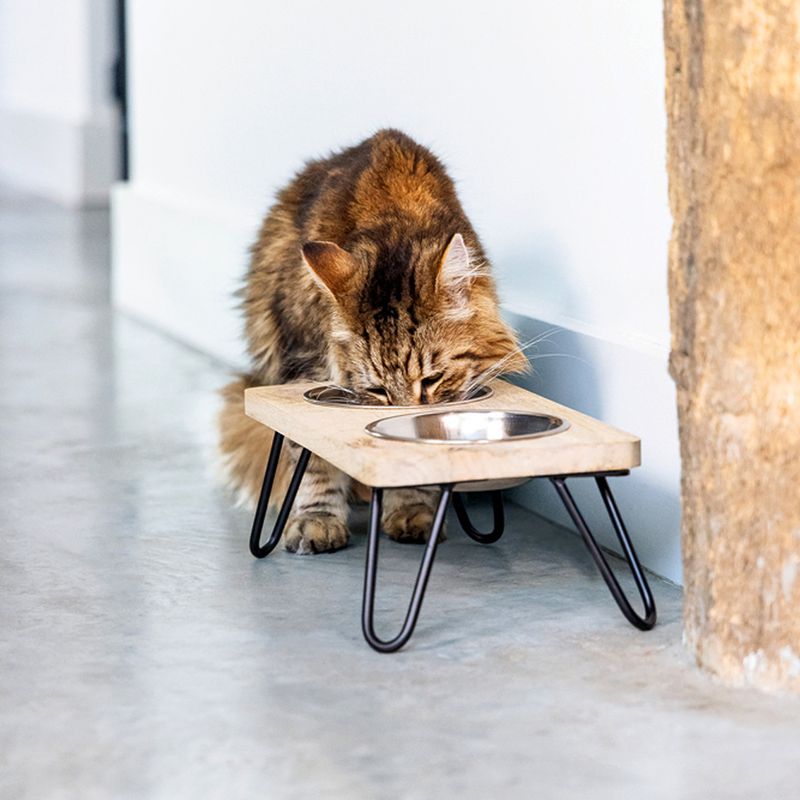 Gamelle double Designed by Lotte Linga pour chat