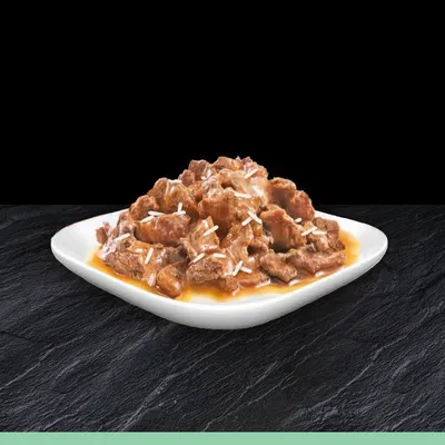 Chunks of meat in gravy with shredded white pieces served on a square white plate, showing the texture and appearance of the wet pet food.